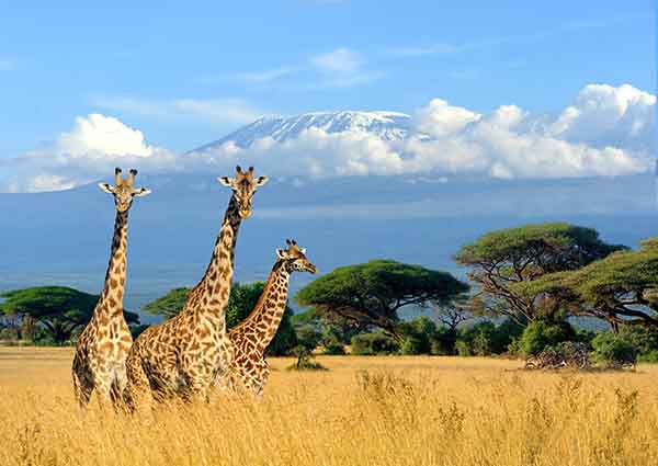 The Best Countries to Visit in Africa